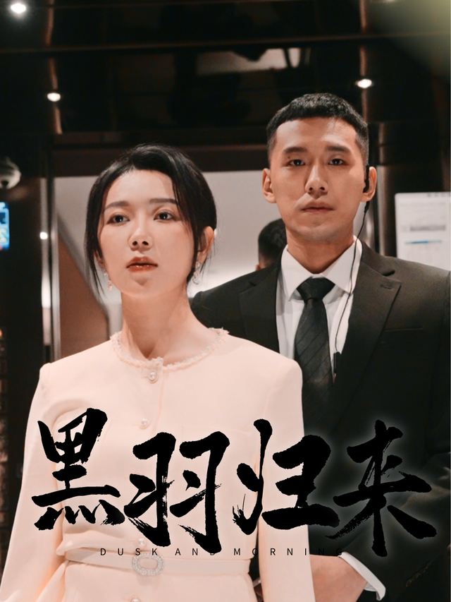 黑羽归来封面
