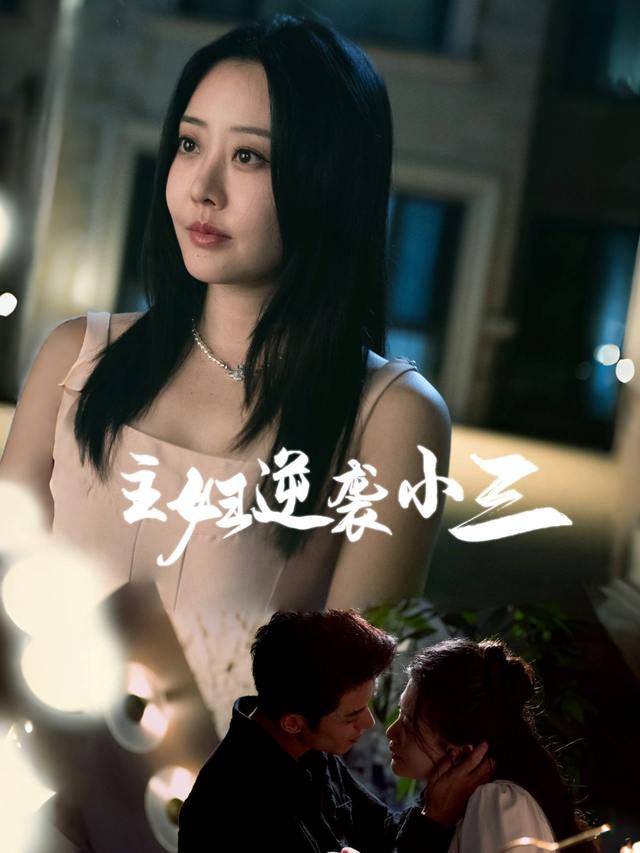 主妇逆袭小三封面