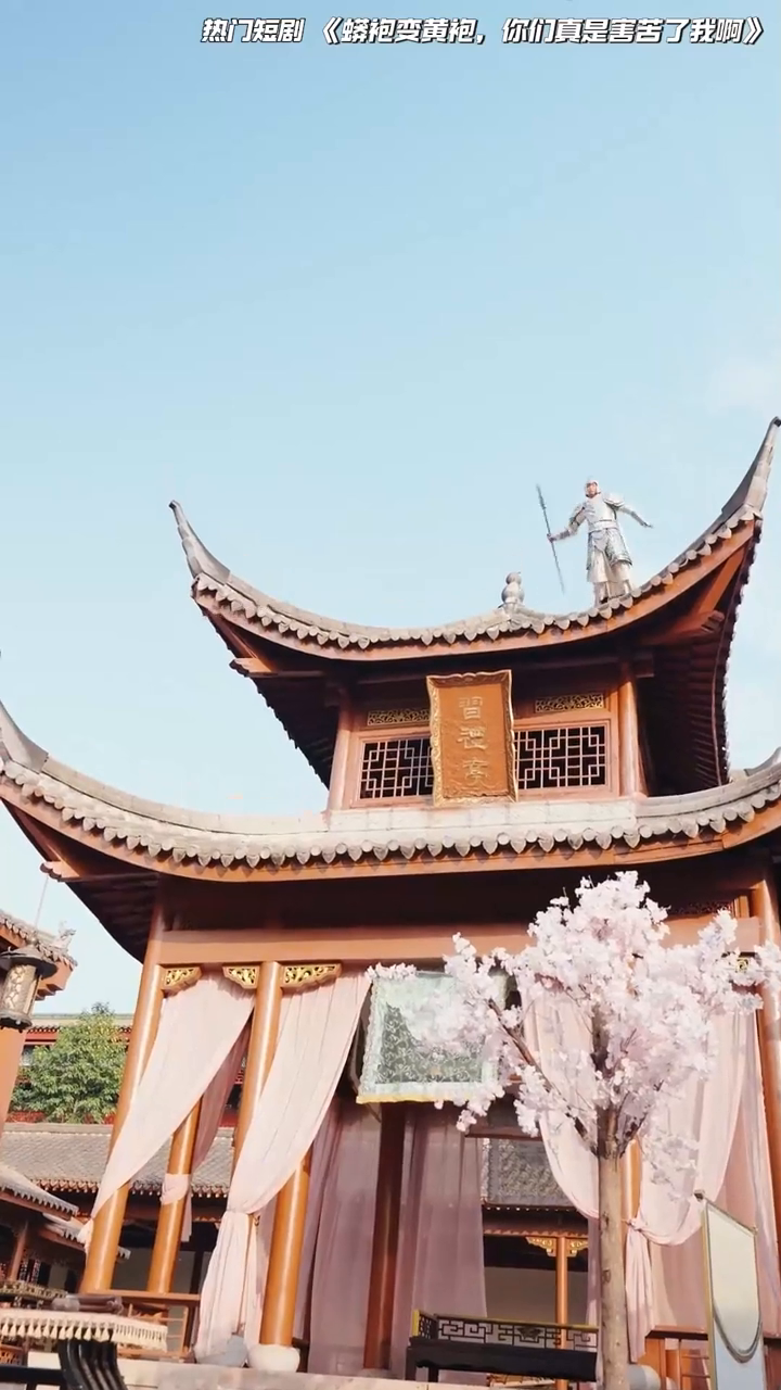 蟒袍变黄袍，你们真是害苦了我啊封面