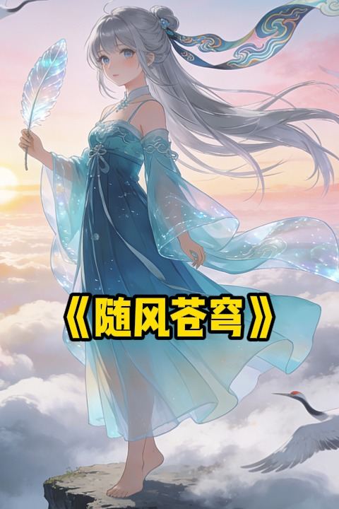 随风苍穹封面