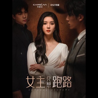女主只想跑路封面