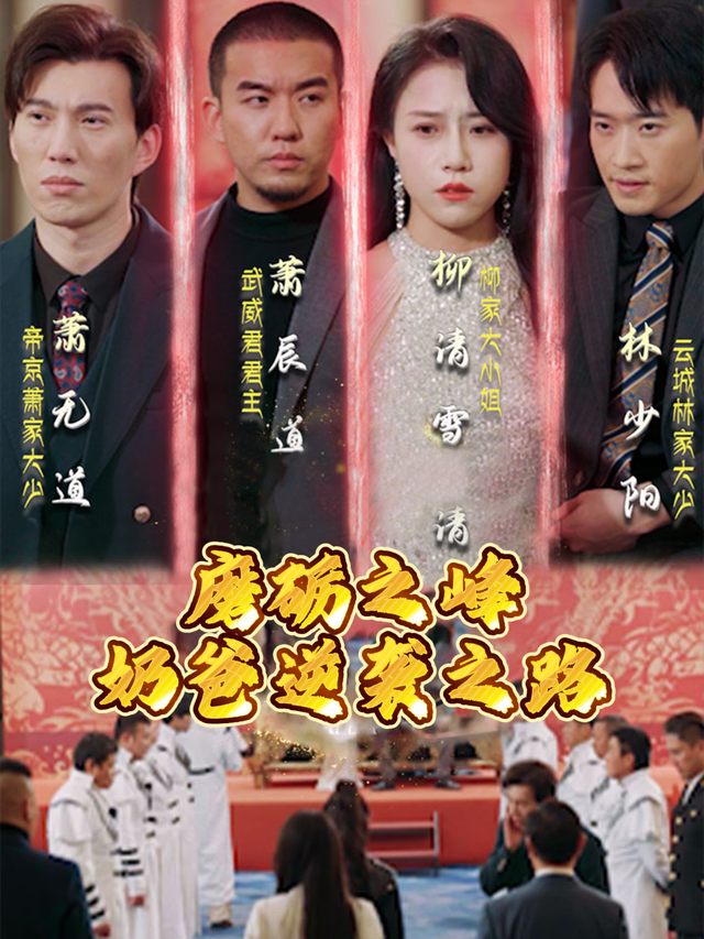 磨砺之锋,奶爸逆袭之路封面