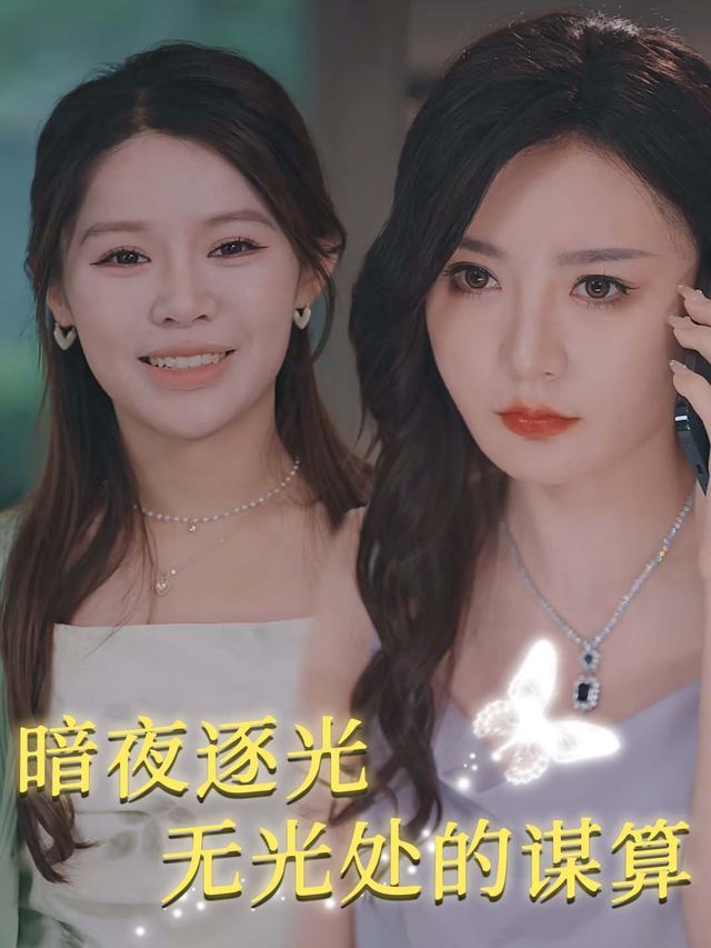 暗夜逐光:无光处的谋算封面