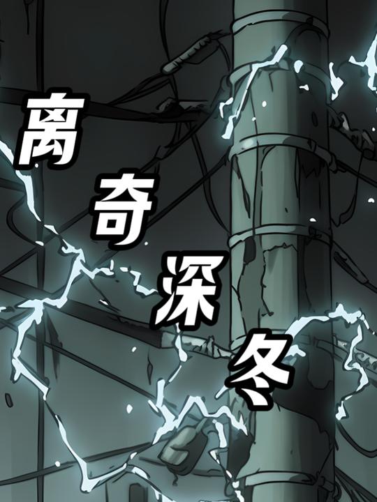 离奇深冬封面