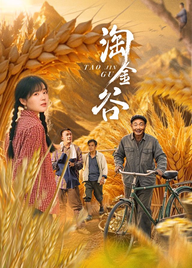 淘金谷(5)封面