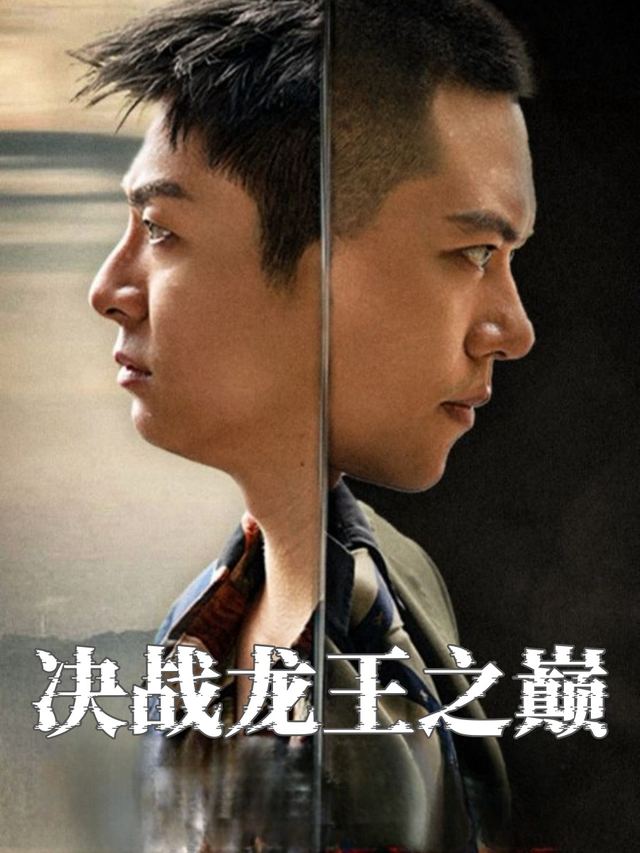 决战龙王之巅封面