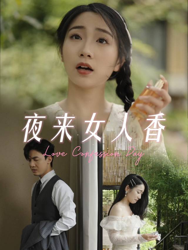 夜来女人香封面