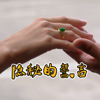 隐秘的誓言封面
