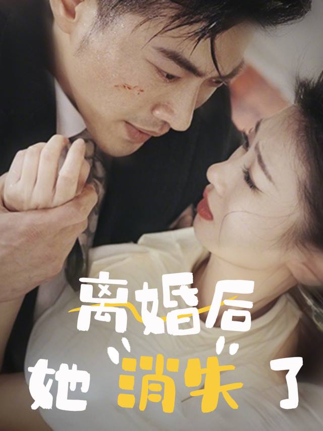 离婚后,她消失了封面