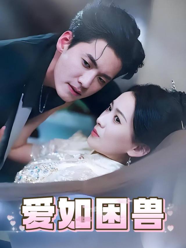 爱如困兽封面