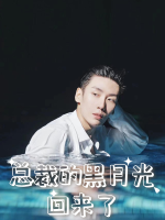 总裁的黑月光回来了封面