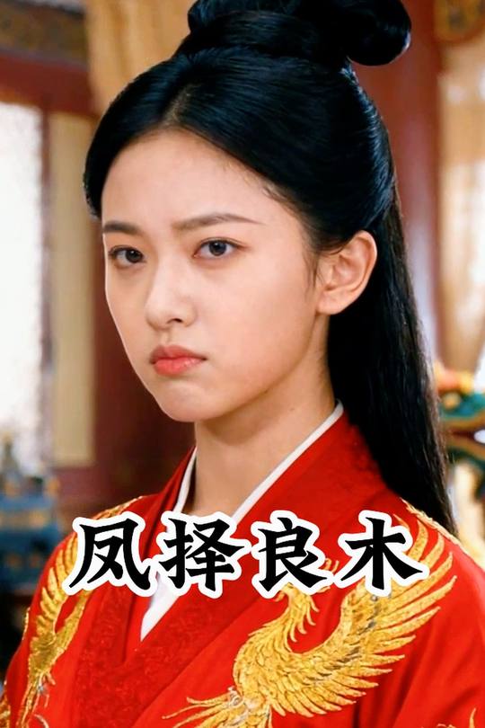 凤择良木封面