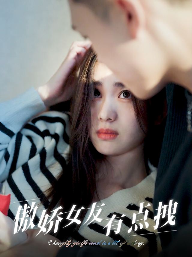 傲娇女友有点拽封面