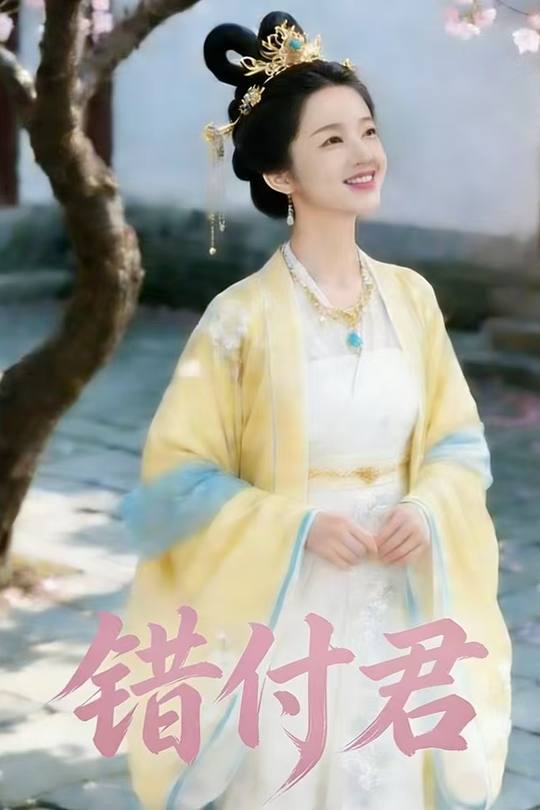 错付君封面