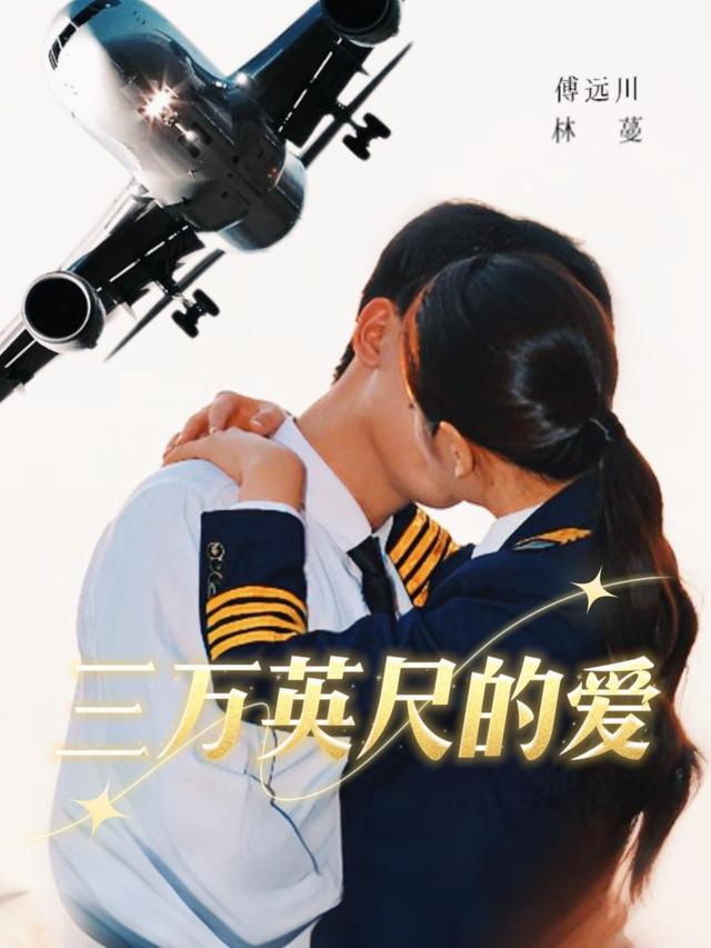 三万英尺的爱封面