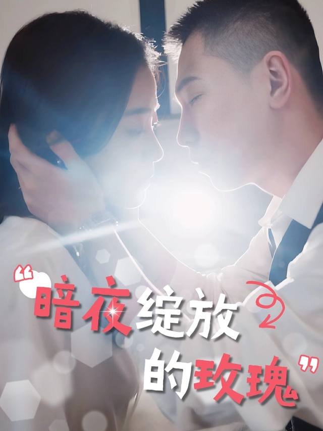 暗夜绽放的玫瑰封面