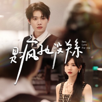 是疯子也没关系封面