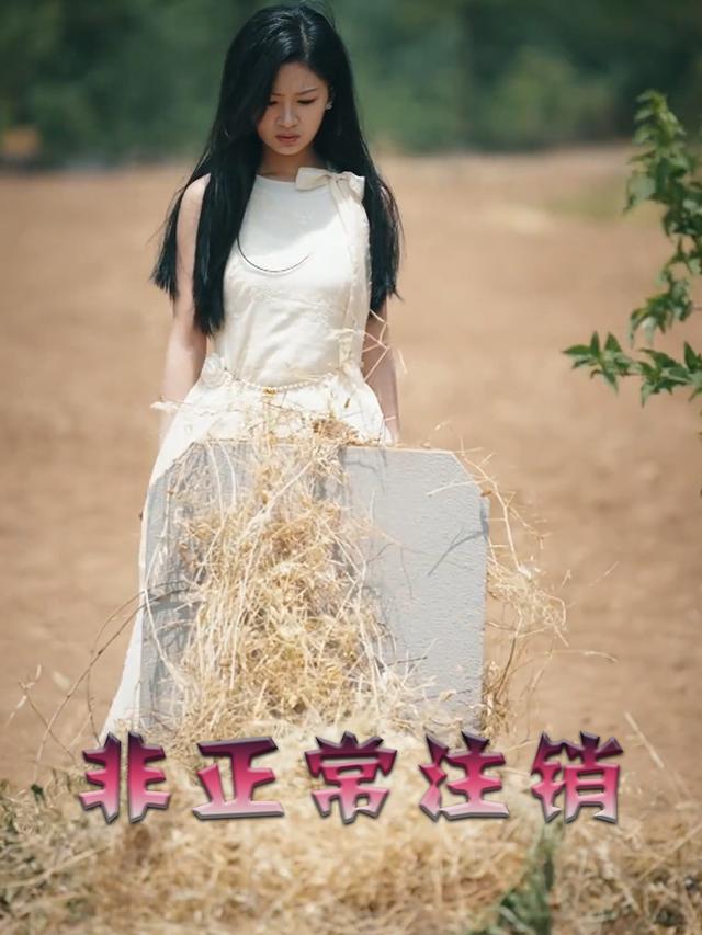 非正常注销封面
