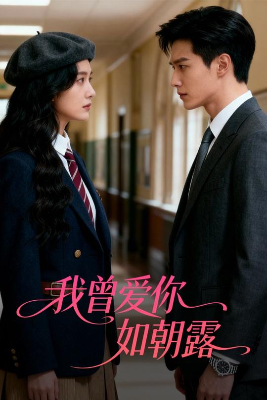 我曾爱你如朝露封面