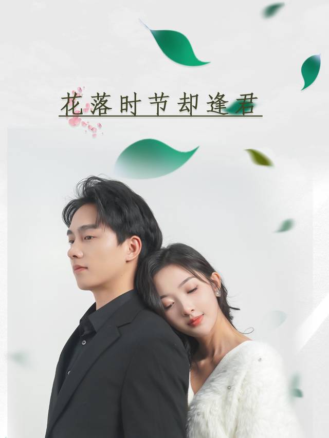 花落时节却逢君封面