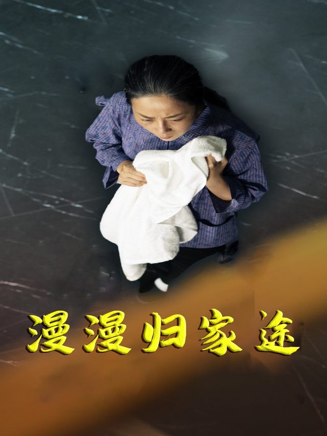 漫漫归家途封面