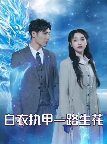 白衣执甲一路生花封面