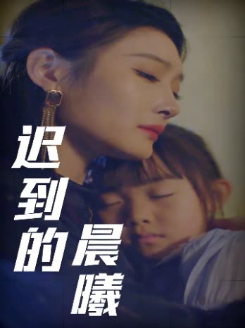 迟到的晨曦封面