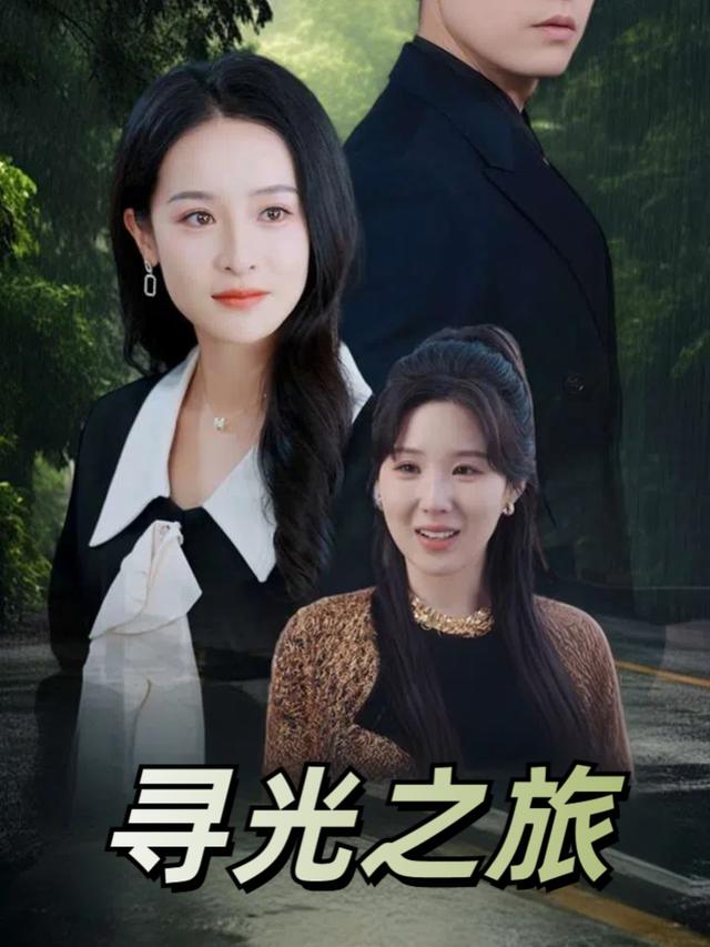 寻光之旅封面