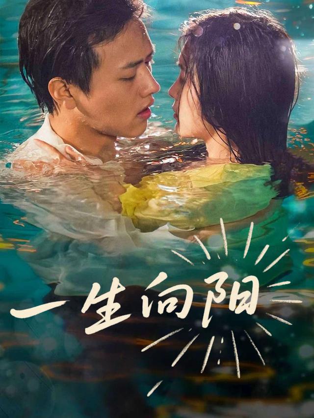 一生向阳封面
