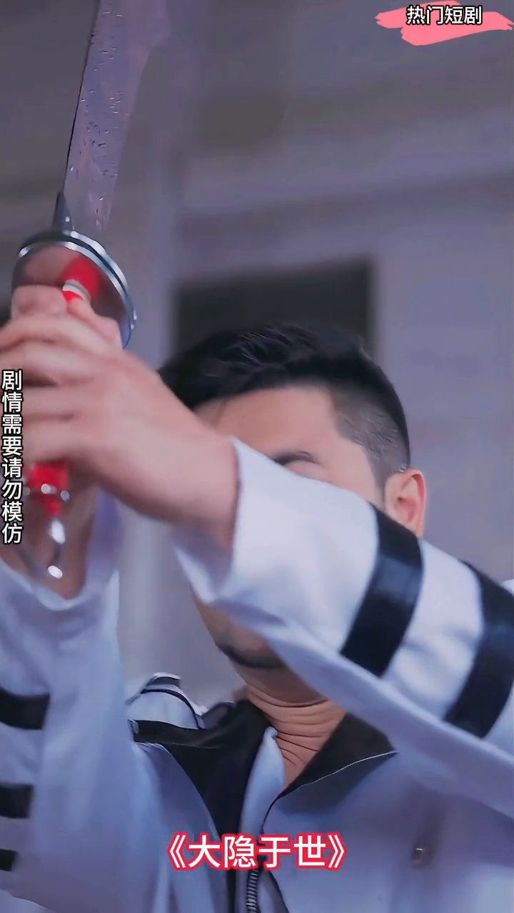 大隐于世封面
