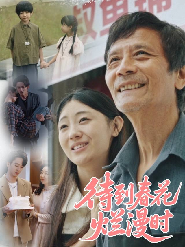 待到春花烂漫时封面