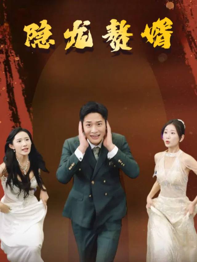 隐龙赘婿封面