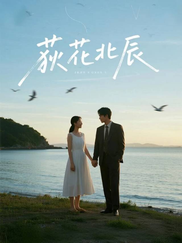 荻花北辰封面