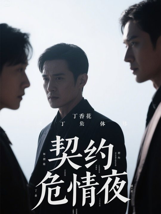 契约危情夜封面