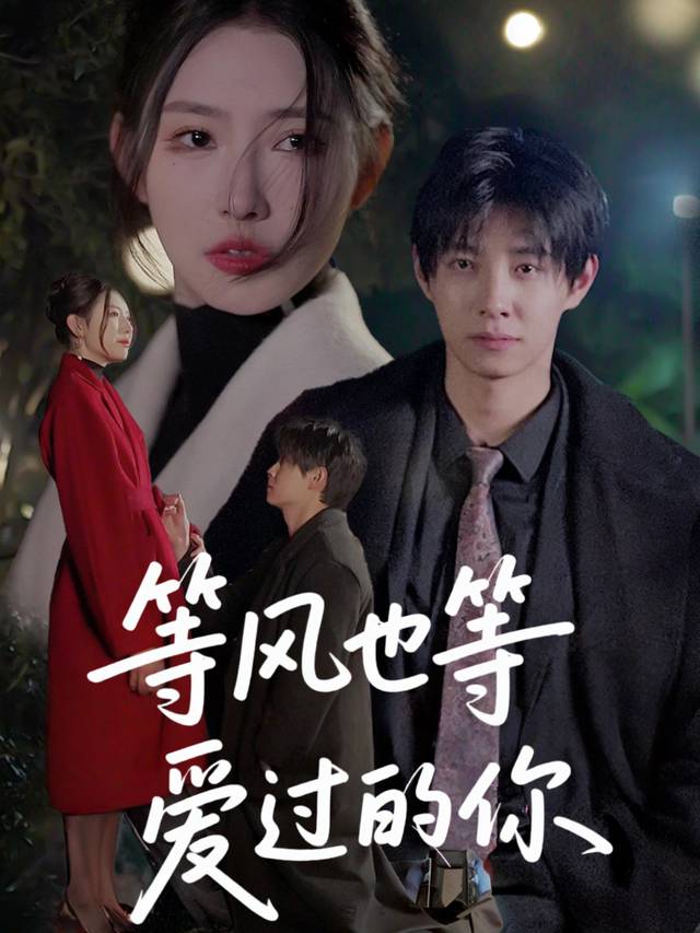 等风也等爱过的你封面