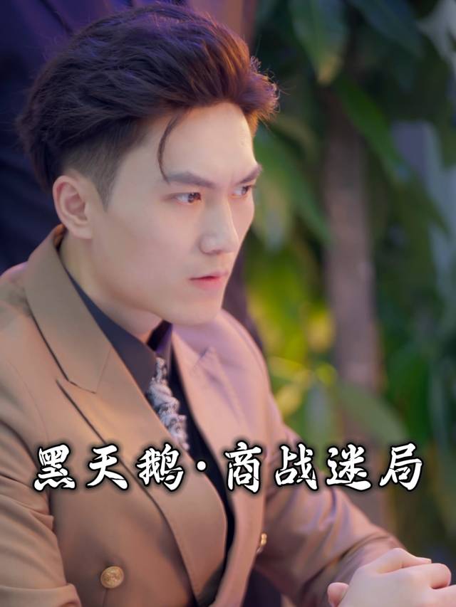 黑天鹅·商战迷局封面
