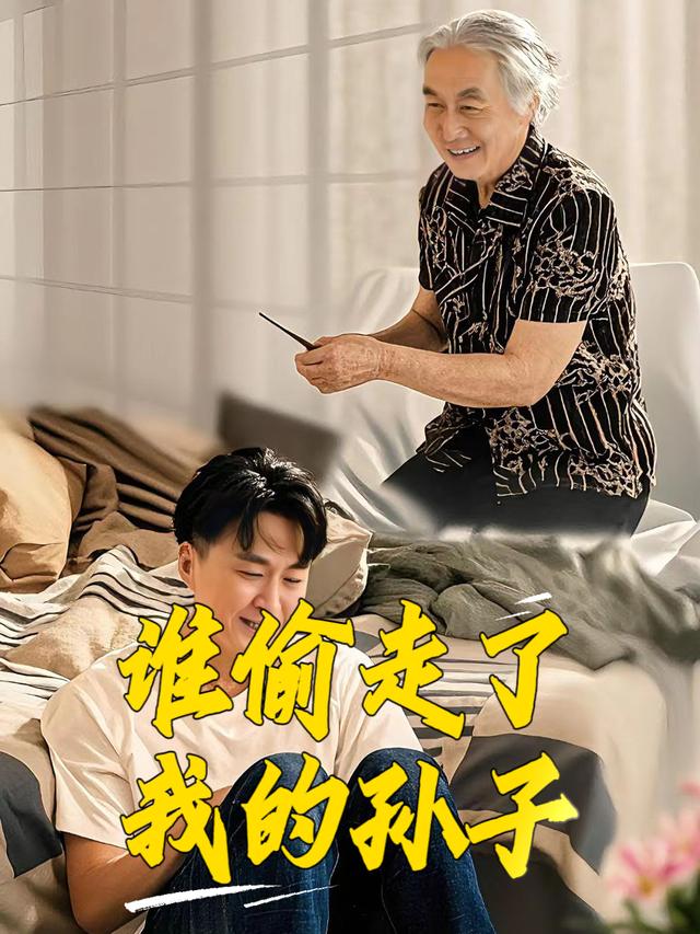 谁偷走了我的孙子封面