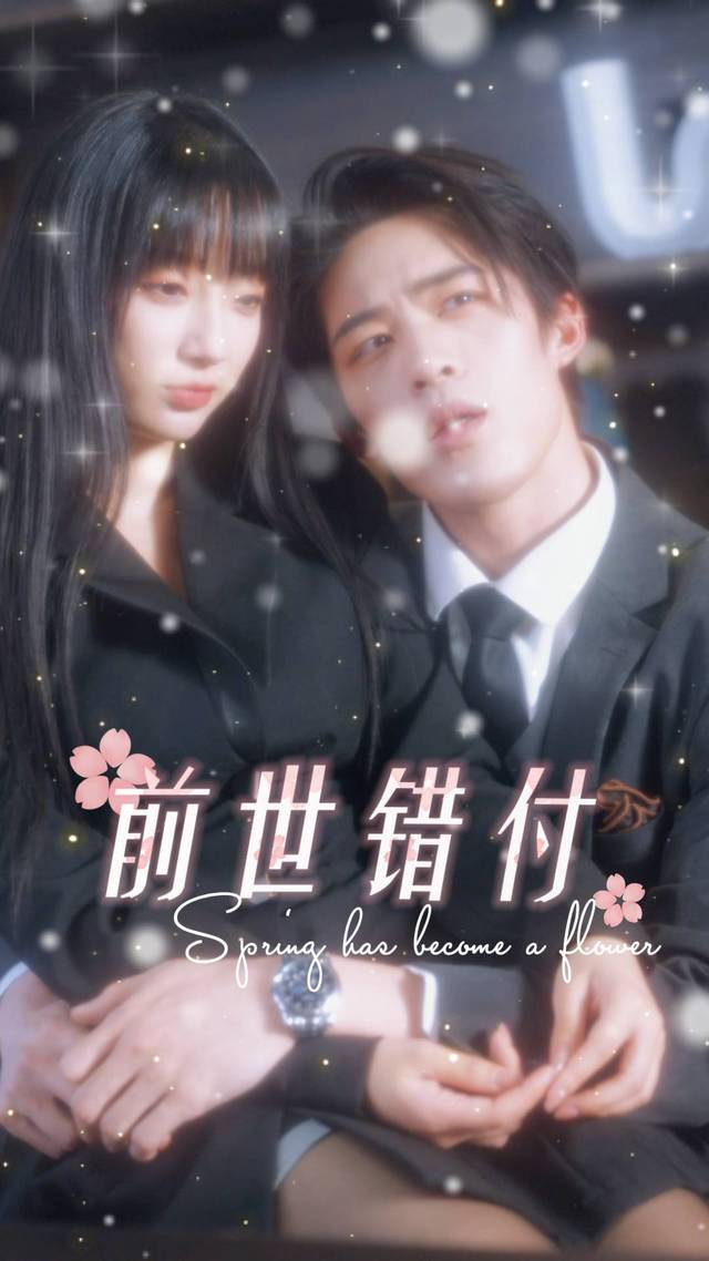 前世错付封面