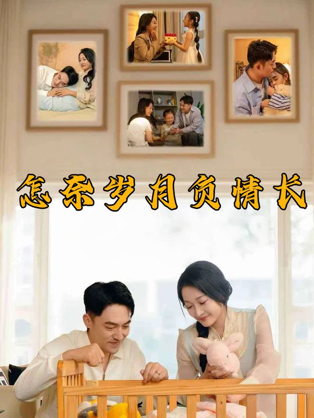 怎奈岁月负情长封面