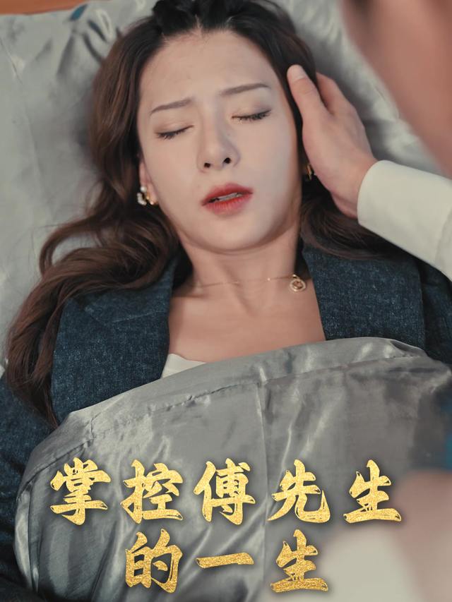掌控傅先生的一生封面