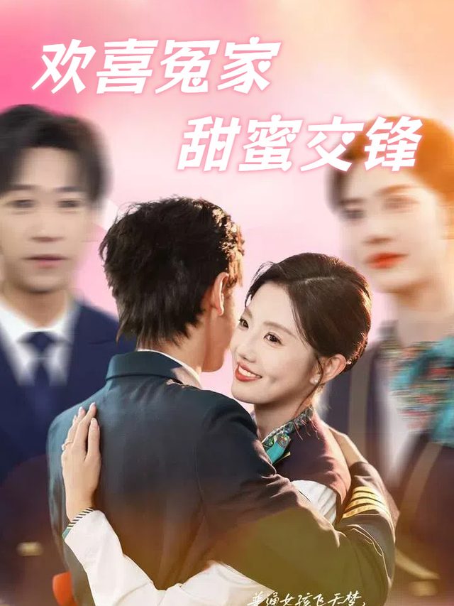 欢喜冤家甜蜜交锋封面