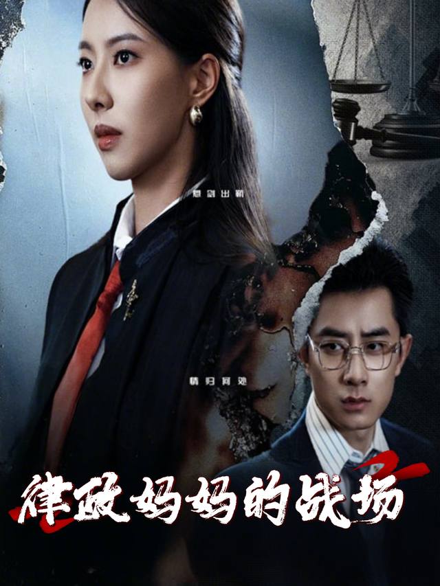 律政妈妈的战场封面