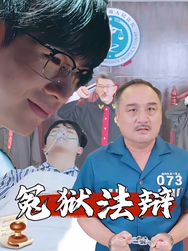 冤狱法辩封面