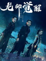 龙帅觉醒封面