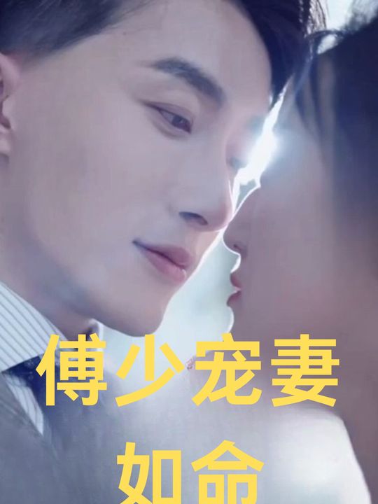 傅少宠妻如命封面