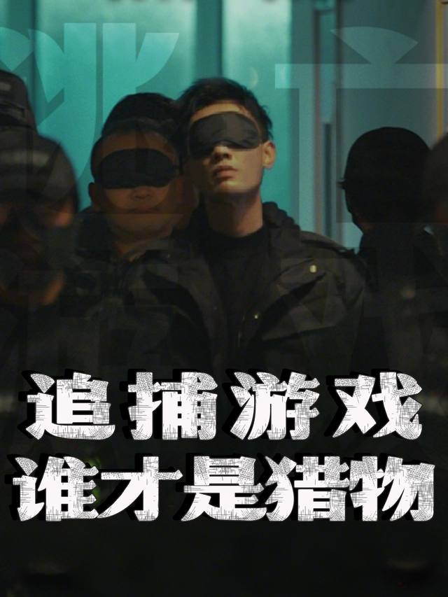 追捕游戏,谁才是猎物封面