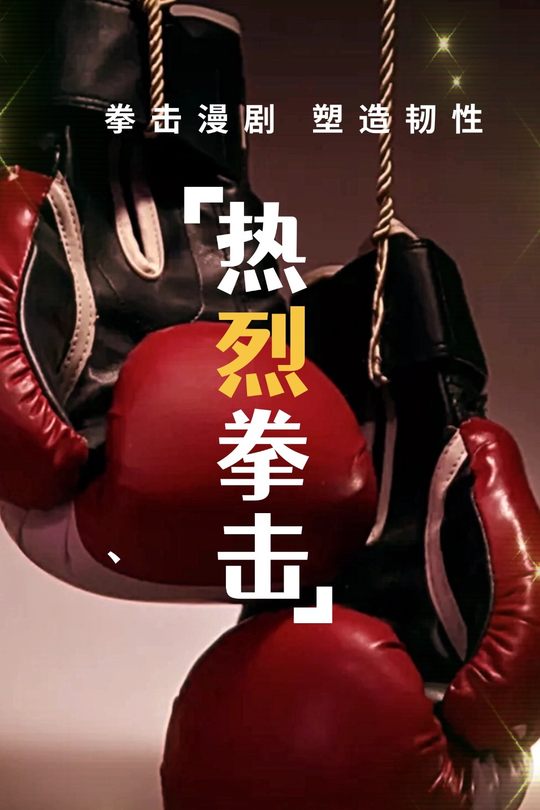 热烈拳击封面