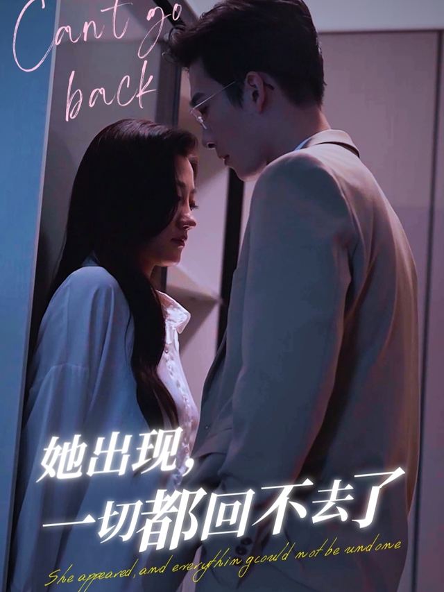 她出现,一切都回不去了封面