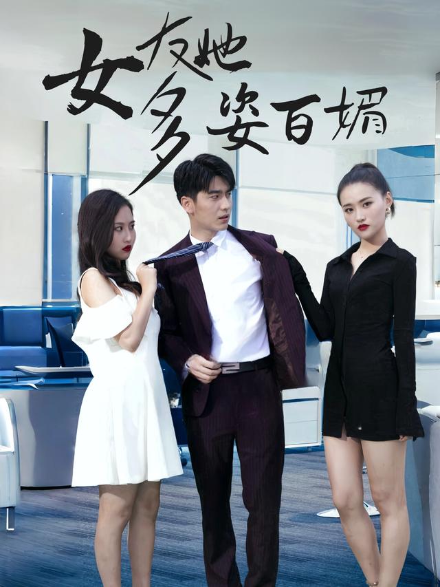 女友她多姿百媚封面