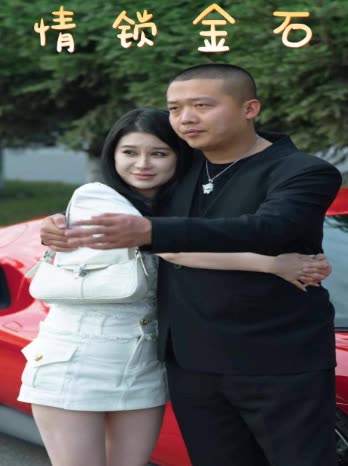 情锁金石封面